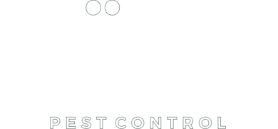 LOGO-WHITE